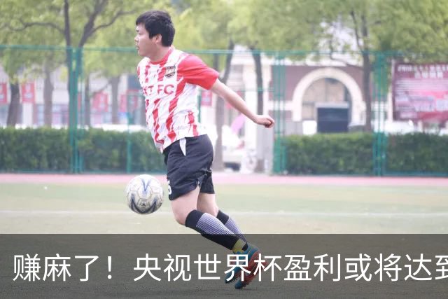赚麻了！央视世界杯盈利或将达到50-60亿元人民币