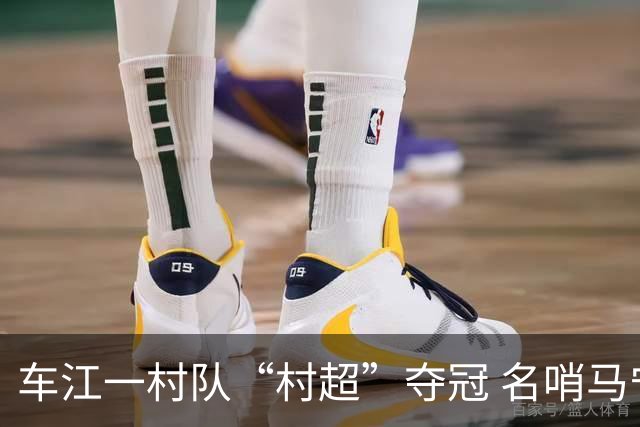 车江一村队“村超”夺冠 名哨马宁现场助阵
